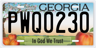 GA license plate PWQ0230