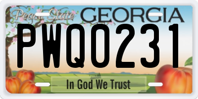 GA license plate PWQ0231