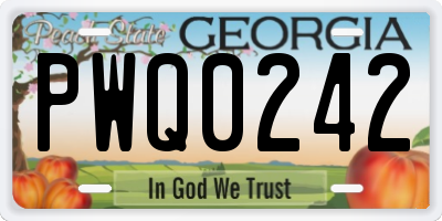 GA license plate PWQ0242