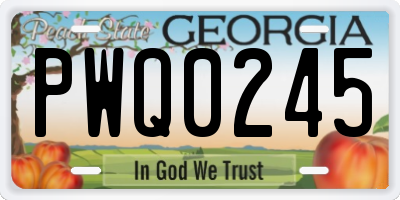 GA license plate PWQ0245