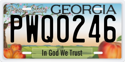 GA license plate PWQ0246