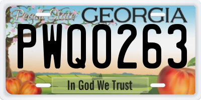 GA license plate PWQ0263