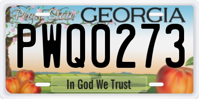 GA license plate PWQ0273