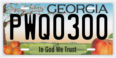 GA license plate PWQ0300