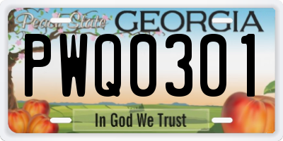 GA license plate PWQ0301