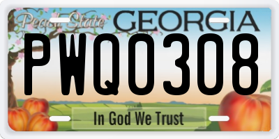 GA license plate PWQ0308