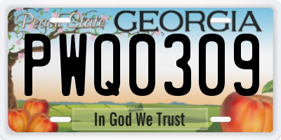 GA license plate PWQ0309