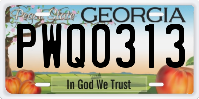 GA license plate PWQ0313