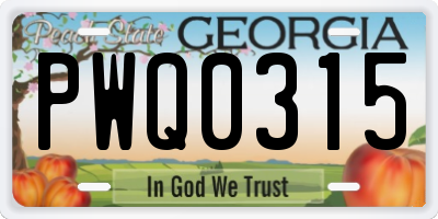 GA license plate PWQ0315