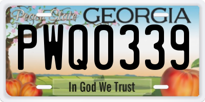 GA license plate PWQ0339