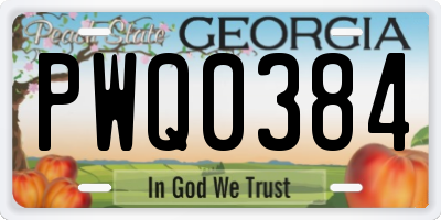 GA license plate PWQ0384