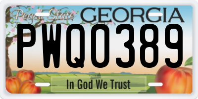 GA license plate PWQ0389