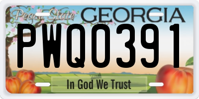 GA license plate PWQ0391