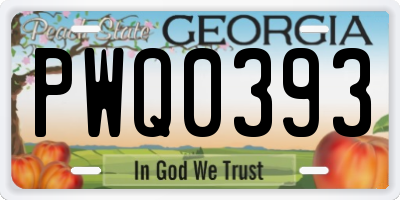 GA license plate PWQ0393