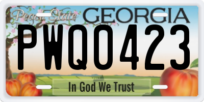 GA license plate PWQ0423