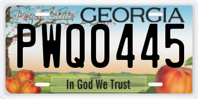 GA license plate PWQ0445