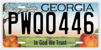 GA license plate PWQ0446