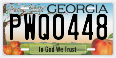 GA license plate PWQ0448