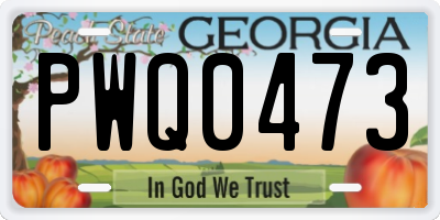 GA license plate PWQ0473