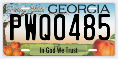 GA license plate PWQ0485