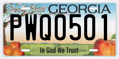 GA license plate PWQ0501