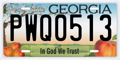 GA license plate PWQ0513