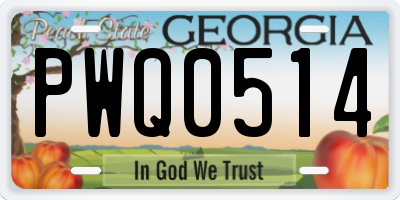 GA license plate PWQ0514