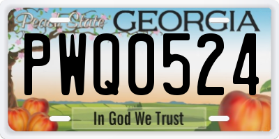 GA license plate PWQ0524