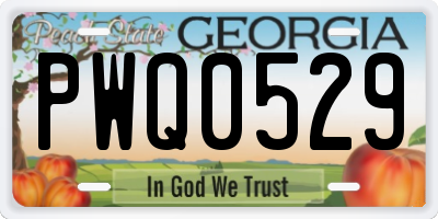 GA license plate PWQ0529