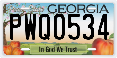 GA license plate PWQ0534