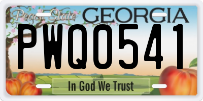 GA license plate PWQ0541