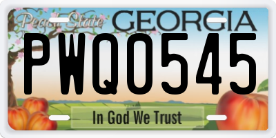 GA license plate PWQ0545