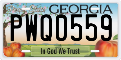 GA license plate PWQ0559