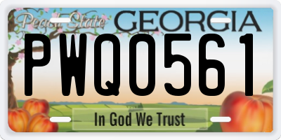 GA license plate PWQ0561