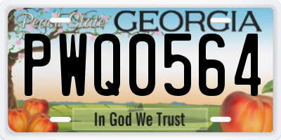 GA license plate PWQ0564