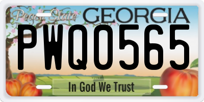 GA license plate PWQ0565