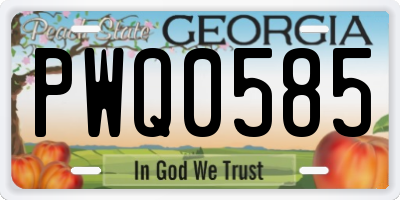 GA license plate PWQ0585