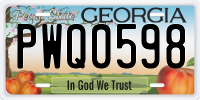 GA license plate PWQ0598