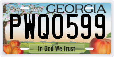 GA license plate PWQ0599