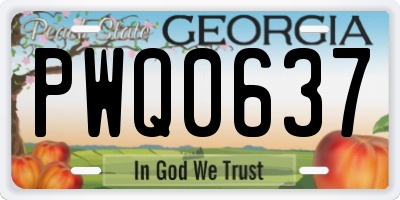 GA license plate PWQ0637
