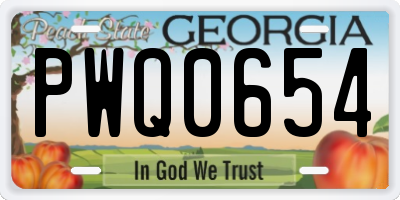 GA license plate PWQ0654