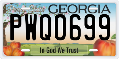 GA license plate PWQ0699