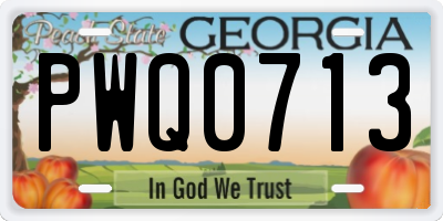 GA license plate PWQ0713