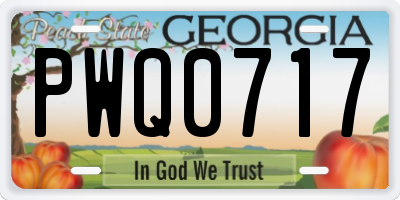 GA license plate PWQ0717