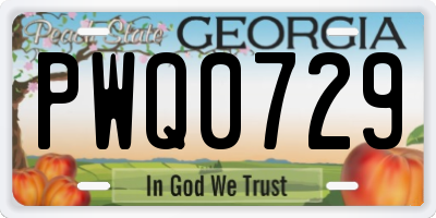 GA license plate PWQ0729