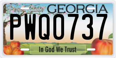 GA license plate PWQ0737