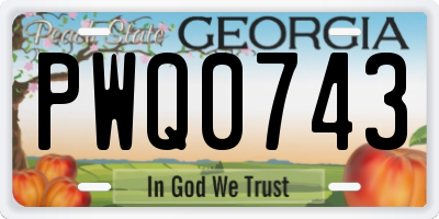 GA license plate PWQ0743