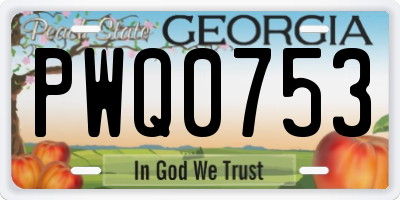 GA license plate PWQ0753
