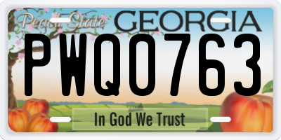 GA license plate PWQ0763