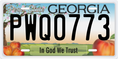 GA license plate PWQ0773